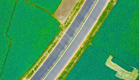 (miniature) Une photo a&eacute;rienne prise le 9 juillet 2020 montre une section de l'autoroute Shantou-Jiexi dans la ville de Shantou