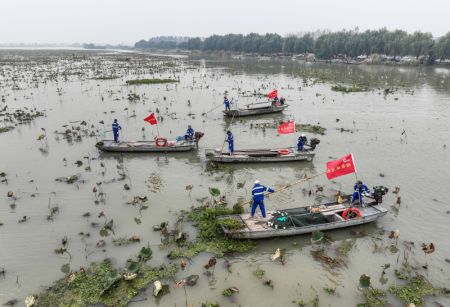 (miniature) Photo a&eacute;rienne des ouvriers qui nettoient la surface de l'eau sur le lac Baima du bourg de Chahe &agrave; Huai'an