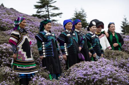 (miniature) Des touristes en costumes du groupe ethnique Yi posent au milieu des fleurs d'azal&eacute;e dans la r&eacute;serve naturelle Baicaopo &agrave; Jinyang