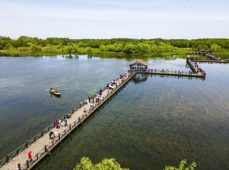 (miniature) Des touristes visitent le parc national des zones humides du lac Qinhu à Taizhou