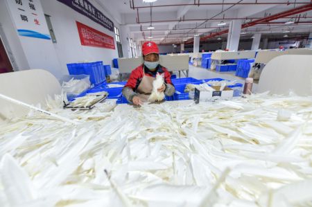 (miniature) Une ouvrière trie des plumes dans une entreprise de fabrication de volants de badminton du district de Jinping