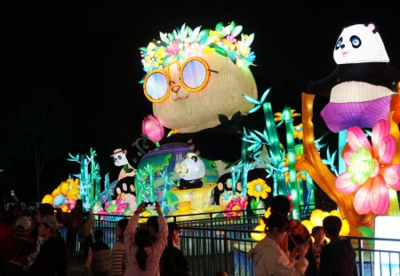 (miniature) Des visiteurs admirent un spectacle de lumières dans le parc d'expositions des jardins de Beijing