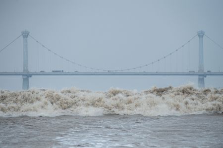 (miniature) Photo prise le 13 septembre 2022 du mascaret du fleuve Qiantang à Hangzhou