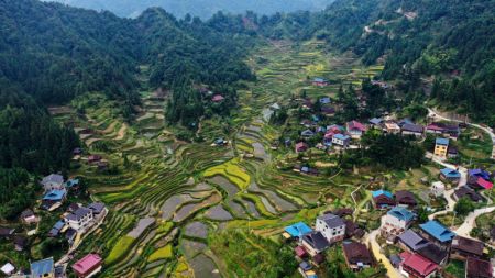 (miniature) Le village de Liangshuang du bourg de Hongshui