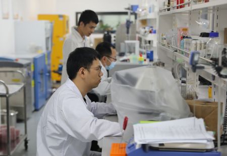 (miniature) Des chercheurs travaillent dans un laboratoire de préparation microécologique de la vallée médicinale de Jiangzhong