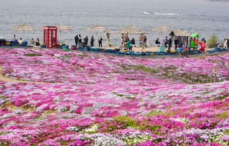 (miniature) Photo de fleurs sur la rive du réservoir de Daheiting