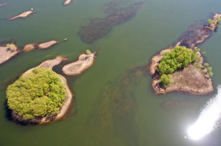 (miniature) Vue aérienne de la rivière Dagu à Qingdao