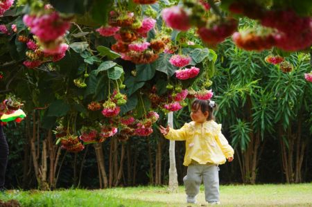 (miniature) Une fillette s'amuse parmi les fleurs au parc Nanhu