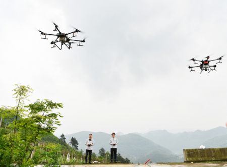 (miniature) Des techniciens présentent le fonctionnement de drones de protection des plantes aux agriculteurs à Luwo