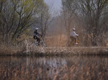 (miniature) Paysage du lac des canards sauvages dans l'arrondissement de Yanqing à Beijing