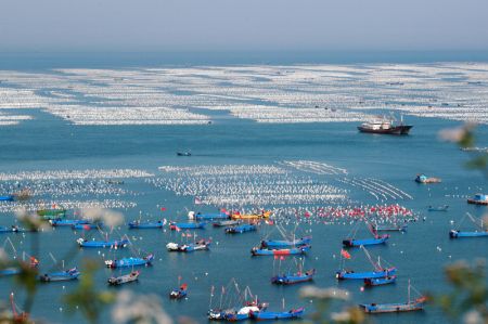 (miniature) Une base d'&eacute;levage de moules dans le district de Shensi