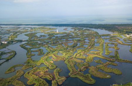 (miniature) Photo aérienne du paysage des zones humides du fleuve Maiya