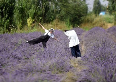 (miniature) Des touristes visitent un champ de lavande du district de Huocheng