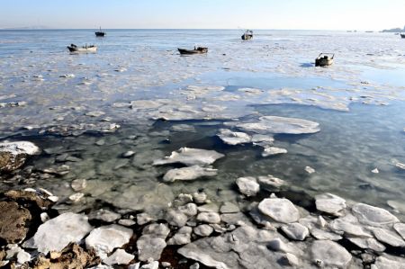 (miniature) De la glace de mer s'est formée le long de la zone côtière de la ville de Qingdao