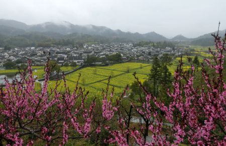 (miniature) Photo prise le 24 mars 2023 d'une vue de l'ancien village de Xidi