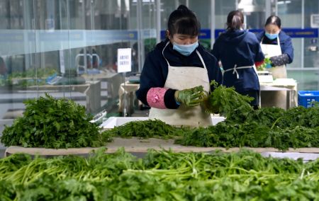 (miniature) Des membres du personnel épluchent des légumes dans un centre logistique à Xi'an