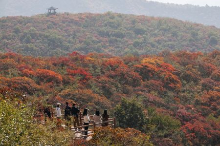 (miniature) Des touristes admirent le paysage dans le district de Boai