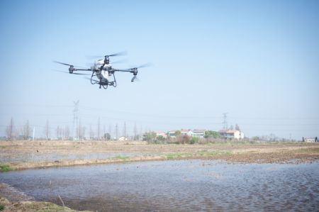 (miniature) Un drone sème des graines dans un champ du village de Hugangwan à Wuhan