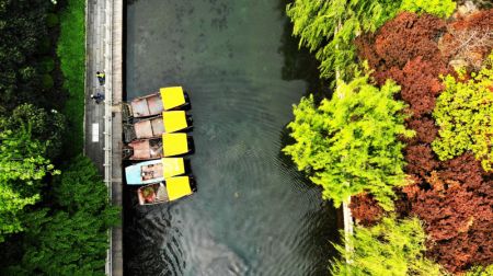 (miniature) Paysage printanier le long des douves à Jinan