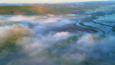 (miniature) Photo prise par un drone le 3 juin 2024 montrant le brouillard au-dessus des rizières à Hailin