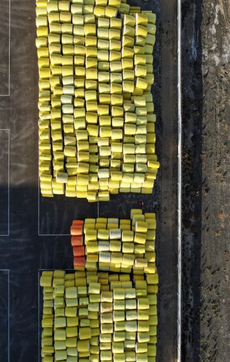 (miniature) Photo aérienne du coton fraichement récolté dans une usine d'égrenage du coton à Shawan
