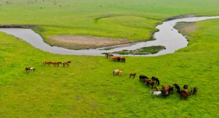 (miniature) Paysage d'une prairie dans la bannière de Dong Ujimqin de la ligue de Xilingol