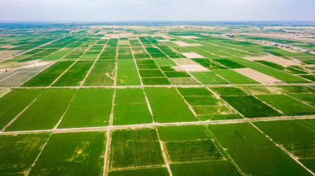 (miniature) Photo a&eacute;rienne du paysage de l'arrondissement de Linhe