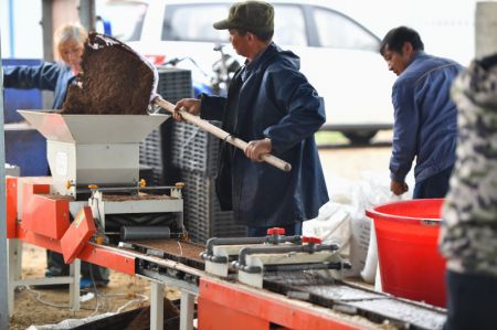 (miniature) Un agriculteur prépare des plateaux de semis dans l'arrondissement de Yuhu de la ville de Xiangtan