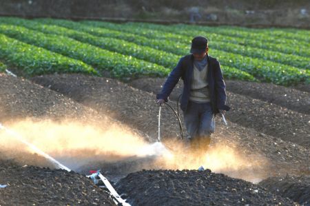 (miniature) Un agriculteur travaille dans un champ du bourg de Nantong du district de Minhou