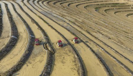(miniature) Photo prise par un drone d'agriculteurs nivelant des champs pour le repiquage du riz dans la ville de Wenshan de la préfecture autonome Zhuang et Miao de Wenshan