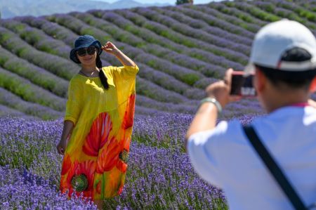 (miniature) Des touristes prennent des photos dans un champ de lavande du district de Huocheng