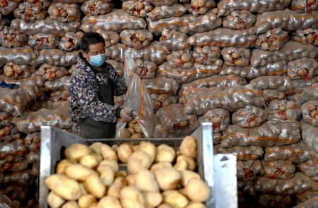 (miniature) Un membre du personnel emballe des pommes de terre dans un centre logistique à Xi'an