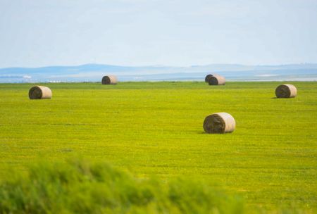 (miniature) Photo a&eacute;rienne prise le 25 juillet 2022 montrant des rouleaux de paille dans la prairie de Hulunbuir dans la r&eacute;gion autonome de Mongolie int&eacute;rieure (nord)