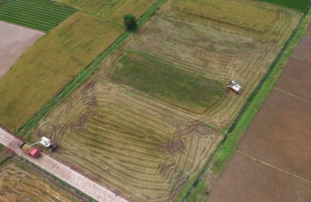 (miniature) Photo a&eacute;rienne des agriculteurs r&eacute;coltant du riz avec des moissonneuses dans le village de Taijiu du bourg de Taiyuan