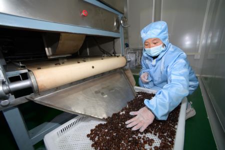 (miniature) Un employé produit des comprimés à base de chèvrefeuille dans une usine du district de Suiyang