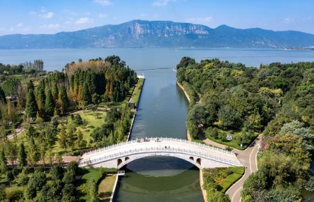 (miniature) Une vue des parcs de zones humides le long du lac Dianchi à Kunming