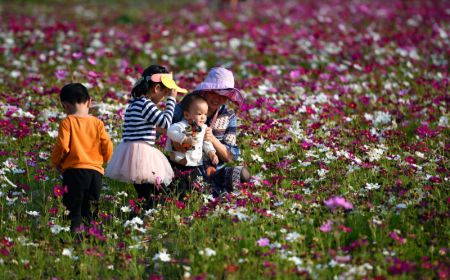 (miniature) Des gens admirent les fleurs à Haikou