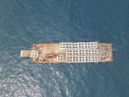 (miniature) Des ouvriers posent des récifs artificiels près de l'île de Wuzhizhou