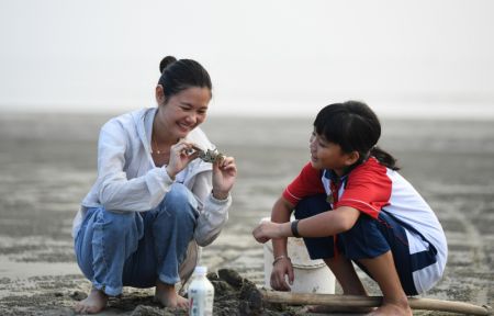 (miniature) Lin Xiaolian (à gauche) et une de ses élèves attrapent des crabes sur une plage de l'île de Beili dans le district de Xuwen