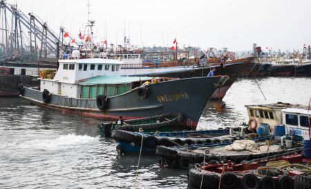 (miniature) Un bateau de pêche s'amarre dans un port pour se mettre à l'abri à Yangjiang