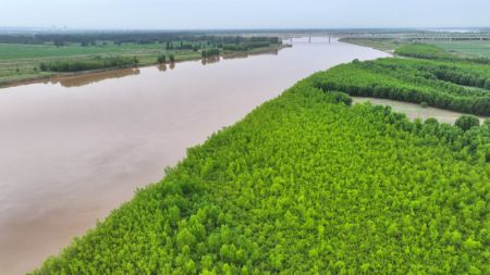 (miniature) Photo aérienne d'une section du fleuve Jaune