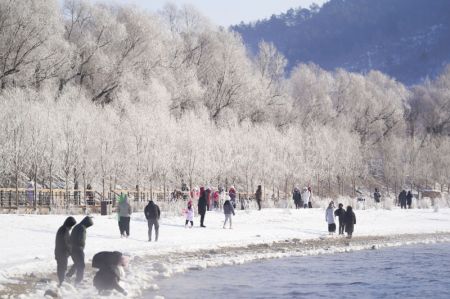 (miniature) Des personnes apprécient le paysage de givre le long de la rivière Songhua à Jilin