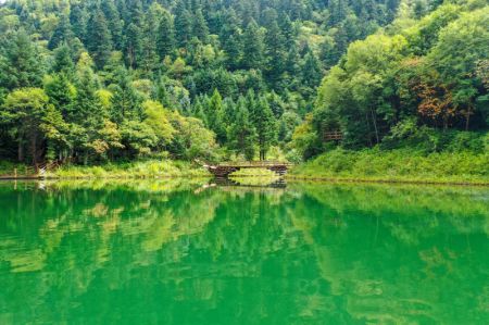 (miniature) Le lac Zedang dans le parc forestier national de Guan'egou