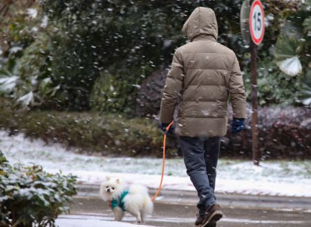 (miniature) Un habitant promène son chien sous la neige à Guiyang