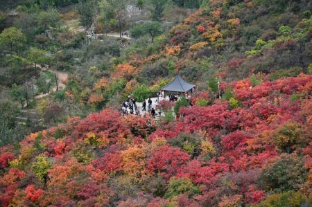 (miniature) Des gens admirent le paysage automnal dans la zone touristique de Pofengling