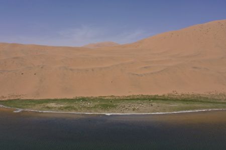 (miniature) Photo aérienne prise le 31 mai 2020 d'un lac dans le désert de Badain Jaran