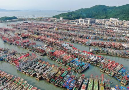 (miniature) Photo aérienne montrant des bateaux de pêche revenus s'abriter au port à Yangjiang