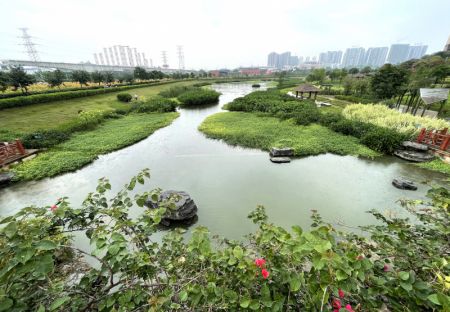 (miniature) Des touristes visitent le parc de la zone humide de la rivière Nakao à Nanning