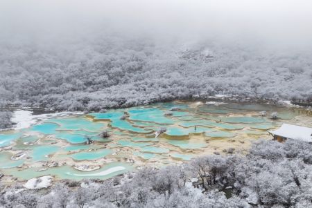 (miniature) Un ensemble d'étangs colorés dans le site touristique de Huanglong recouvert de neige