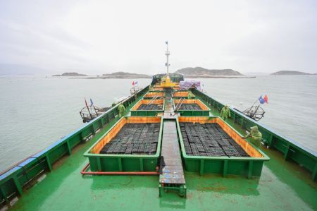 (miniature) Un navire transportant des ormeaux dans les eaux au large du district de Lianjiang